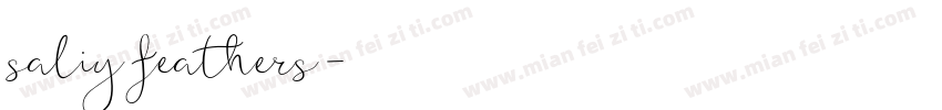 saliy feathers字体转换